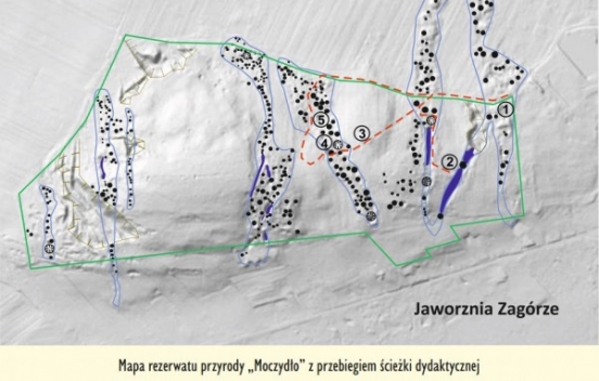 mapa Rezerwatu Moczydło na podkładzie LiDAR, grafika z tablicy informacyjnej